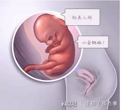 林光渝 院长